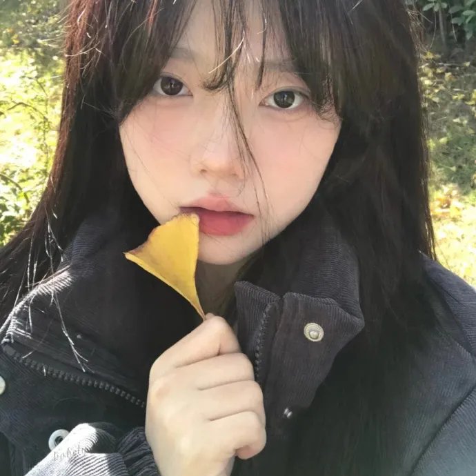灵书妙探第八季